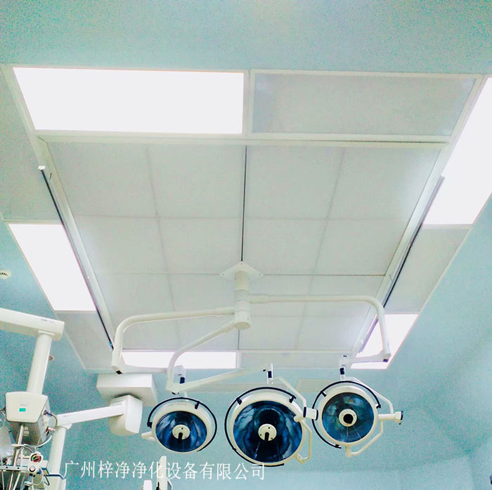 層流送風(fēng)天花 層流送風(fēng)天花